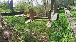 Вандалы срезали могильные оградки на кладбище Кенсай в Алматы