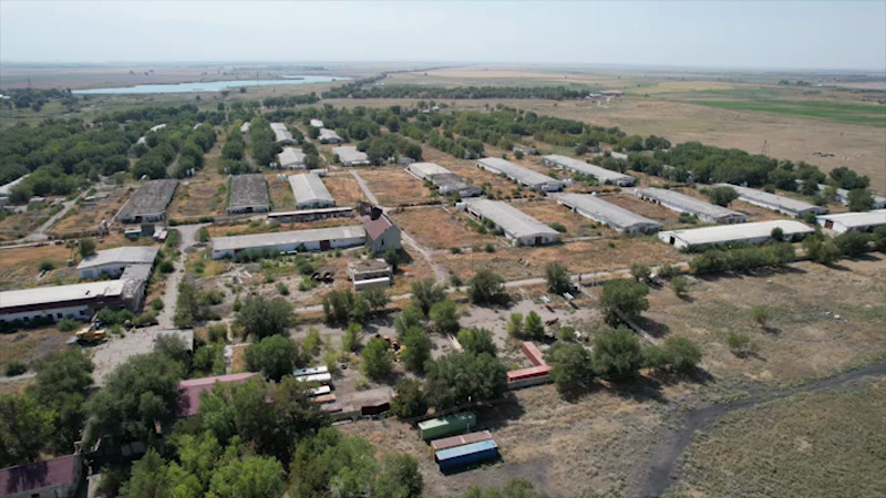 Кадры из видео