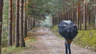 Циклон принесет дожди в Казахстан