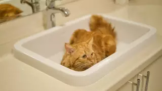 В двух районах Алматы частично отключат воду