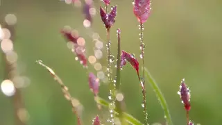 Резкое похолодание до 2 градусов ожидается в Казахстане