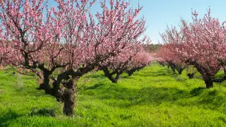 Жара до 32 градусов и дожди: прогноз погоды в Казахстане на 27 апреля