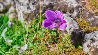 Жара, туман и пыльные бури: прогноз погоды в Казахстане на 28 апреля