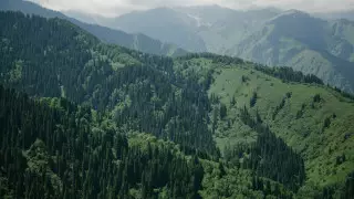 Алматинец заплатит штраф за костер в горах