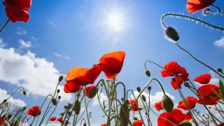 Сильные дожди и морозы до 10 градусов: прогноз погоды в Казахстане на 4 мая