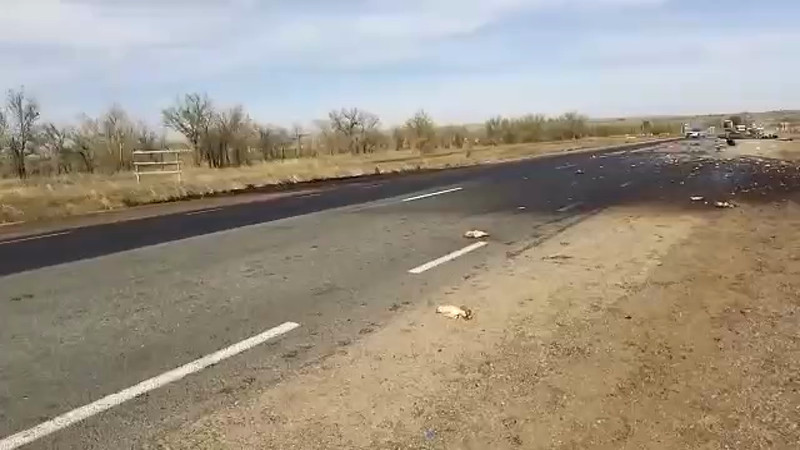 Видео Polisia.kz.