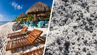 Туристы продолжают воровать уникальный "песок-попкорн" на популярном курорте