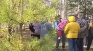 Школа вместо дендропарка: Жители Риддера возмущены решением властей