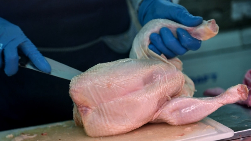 © РИА Новости