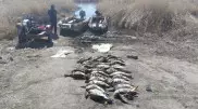 Браконьер-полицейский задержан в СКО