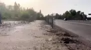 В КНБ прокомментировали видео о заборе на трассе Бишкек - Торугарт