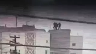 Девочку-подростка спасли от суицида в Кокшетау