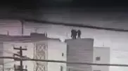 Девочку-подростка спасли от суицида в Кокшетау