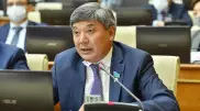 Депутат спросил главу МВД о задержании казахстанского журналиста
