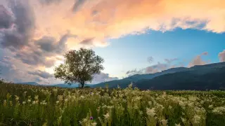 Жара до 37 градусов и грозы: прогноз погоды в Казахстане на 11 мая