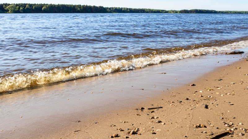 Иллюстративное фото:elements.envato.com