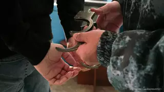 Участник разбойного нападения на проститутку задержан в Алматы