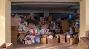 Эксперт заявила об увеличении контрафакта в стране