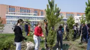 Какие экологические акции проходят в Акмолинской области