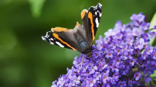 Похолодание и сильный дождь: прогноз погоды в Казахстане на 17 мая