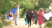 "Посмотрите, как их много! Кошмар!" Небывалое нашествие комаров напугало жителей Конаева
