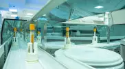 INVIVO запустила крупнейшую автоматизированную лабораторию в Казахстане