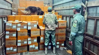 Погранслужба КНБ задержала иностранца с контрабандой на 50 миллионов тенге