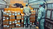 Погранслужба КНБ задержала иностранца с контрабандой на 50 миллионов тенге