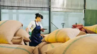 Токаев предложил учредить Совместный продовольственный хаб с Китаем