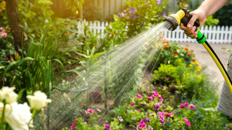 Фото:elements.envato.com