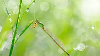 Жара до 33 градусов, грозы и снег: прогноз погоды в Казахстане на 23 мая