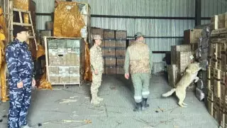 В КНБ сообщили о задержании крупной партии товара на границе с Китаем