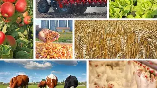 В Туркестане по программе "Ауыл аманаты" кредиты получат почти 4 тысячи человек