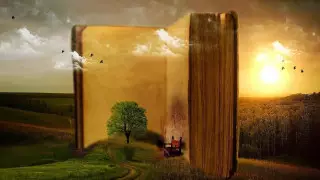 "Хочу умереть и поесть токпокки": Что читают авторы TikTok