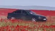Установлен водитель BMW, дрифтовавший на маковых полях под Алматы