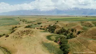 Опубликован прогноз по засухе на июнь в Казахстане