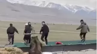 Погоня огромного медведя за людьми попала на видео