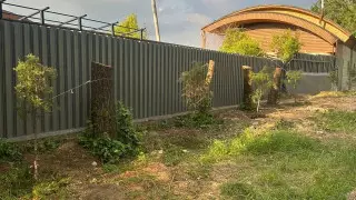 Как накажут срубивших деревья на территории школы в Алматы