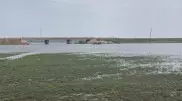 Подросток упал с лошади и утонул в Атырауской области