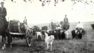 "Қазақтардың саны 60 миллионға жетуі керек еді". Маман ашаршылық жайлы жантүршігерлік деректер айтты