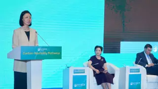 Справедливая углеродная нагрузка: Казахстан привлекает все отрасли экономики