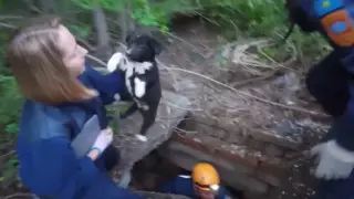Провалившегося в колодец щенка спасли в ВКО
