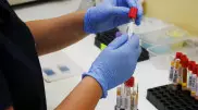 Прокуроры обнаружили наркотики в крови студентов колледжей Кызылорды