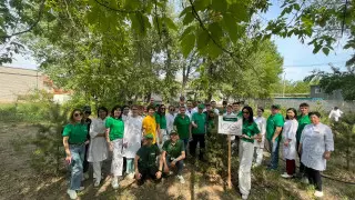 100 добрых дел: пусть будет город-сад