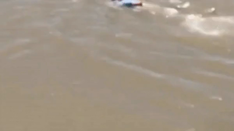 Кадры из видео