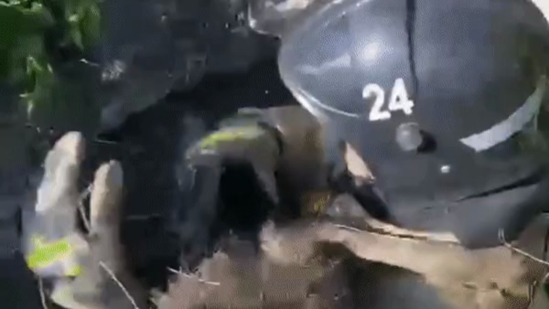 Кадры из видео