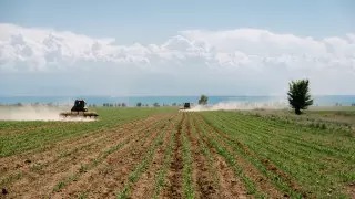 Синоптики скорректировали прогноз засухи на июнь