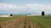 Синоптики скорректировали прогноз засухи на июнь