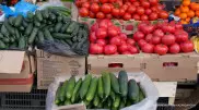 Казахстанцы будут больше тратить на продукты и экономить на остальном - депутат