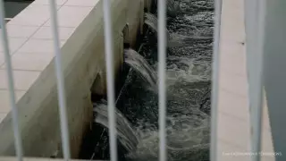 Токаев поручил срочно решить проблему с водой у астанчан